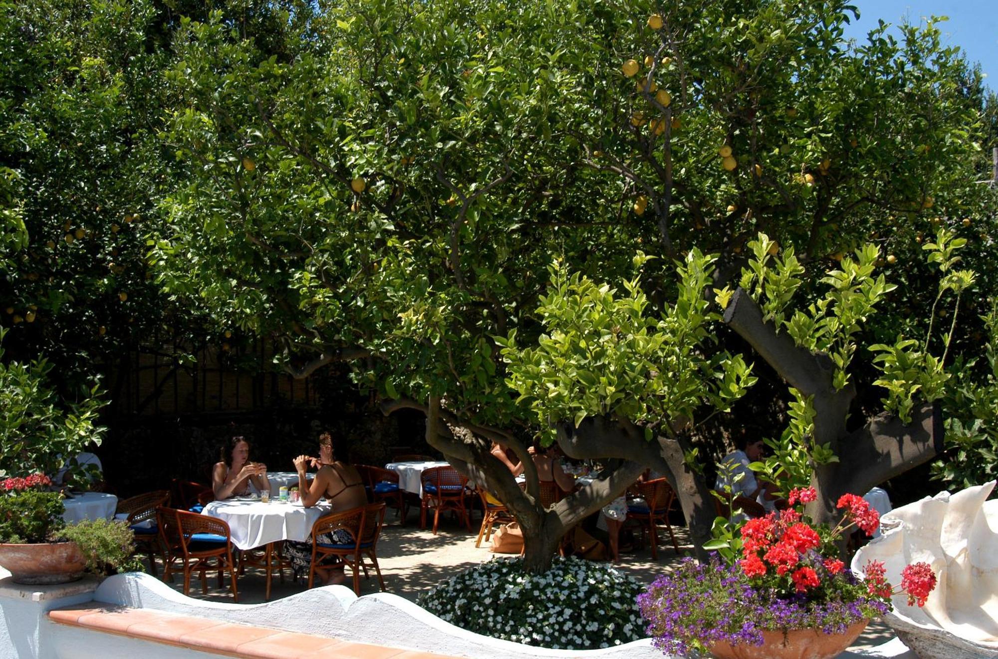 Hotel San Felice Капри Екстериор снимка